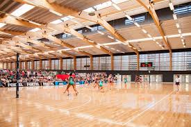 Image result for Sports Centre Netball