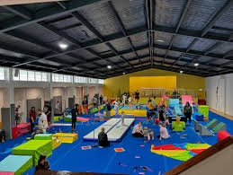 Image result for Ipswich Gymnastics