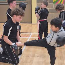 Image result for Leighton Buzzard Tae Kwon-Do Club