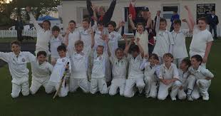 Image result for Bashley (Rydal) Cricket Club