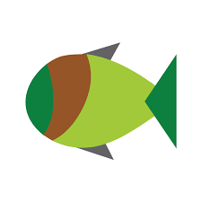 Image result for Chelon dumerili