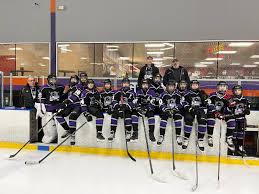 Image result for Brigg Hockey Club