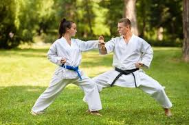 Image result for Action Karate