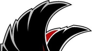 Image result for Knutsford Netball Club