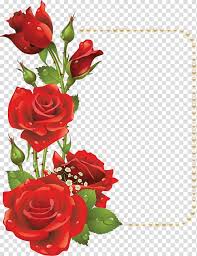 Image result for Red Rose Cc