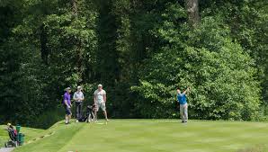 Image result for Betchworth Park Golf Club