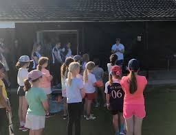 Image result for Salfords Cricket Club