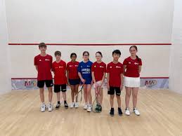 Image result for Barrow Members Squash Club