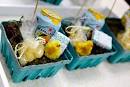 Kinser Event Company: Easter Party Inspiration ~ Styled Photo Shoot
