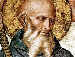 Image result for St Benedicts Rfc