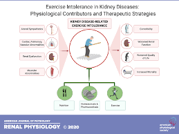 Image result for Peak Performance Ckd, Horley