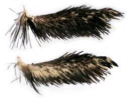 Attēlu rezultāti vaicājumam “Parascotia fuliginaria”