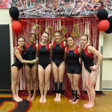 Image result for Lincoln Gymnastics Club