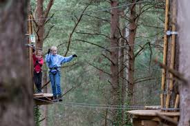 Image result for Go Ape! Moors Valley