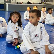 Image result for Elite Martial Arts Academy