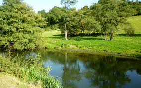 Image result for Guildford Angling Society