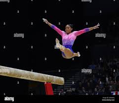 Image result for Heathrow Gymnastics Club