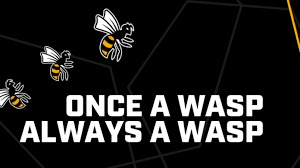 Image result for Wasps Football Club