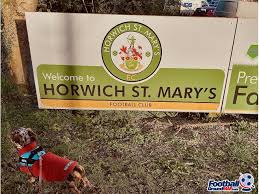 Image result for Horwich St Marys Junior F C