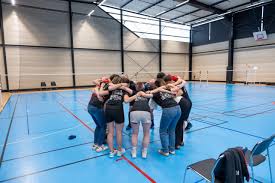 Image result for Cobra Badminton Club