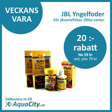 Image result for Yngelfoder