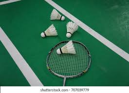 Image result for Shuttlecocks Badminton Club