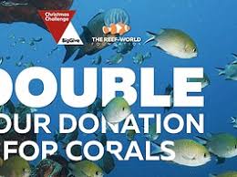 Image result for DeeperBlue.net Tribe (South London)