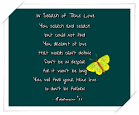 In Search of True Love | (A Day in the Life) Un Giorno Nella Vita