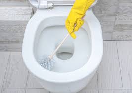 Image result for german toilet