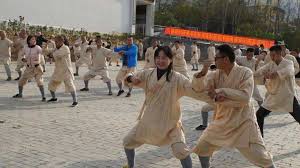 Image result for Shaolin Ancestors kung Fu School
