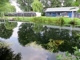 Image result for Chelmsford Canoe Club