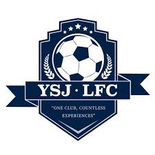Image result for York University Futsal Club