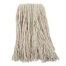 Image result for mop tehron