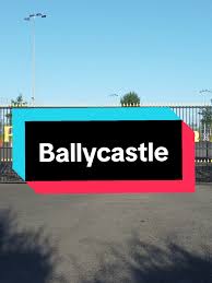 Image result for Mcquillan Gac