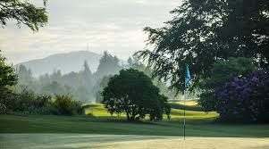 Image result for Crieff Scrabble Club