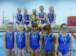 Image result for Hinckley Gymnastics Club
