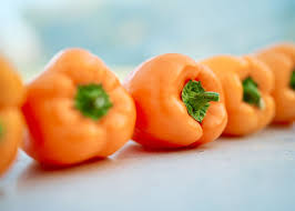Afbeeldingsresultaat voor orange sun sweet pepper