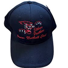 Image result for Eltham Panthers