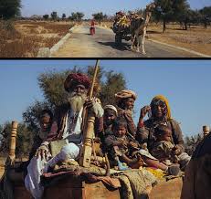 Image result for Nomads