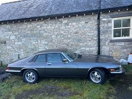 Image result for Dorchester Gray 1987 Jaguar