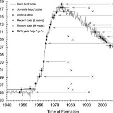 Image result for Hyporthodus quernus