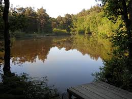 Image result for Leatherhead & District Angling Society