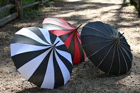 Attēlu rezultāti vaicājumam “Panolis umbra”