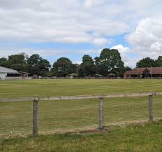 Image result for Alne Cricket Club