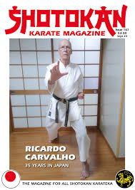 Image result for ZOKU SHOTOKAN KARATE (Baldock)