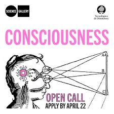 Image result for consciousness