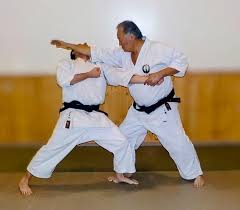 Image result for Kenshukai Karate