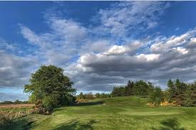 Image result for Vale Of Leven Golf Club