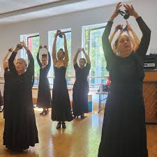 Image result for Flamenco Dance School