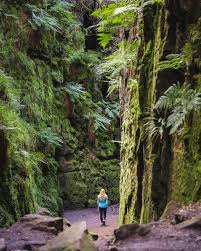 Image result for Peak Park Leisure Walks